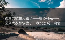 我真的被整无语了——糖心vlog——，原来大家都误会了…我只想说：离谱