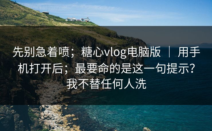 先别急着喷；糖心vlog电脑版 ｜ 用手机打开后；最要命的是这一句提示？我不替任何人洗  第1张